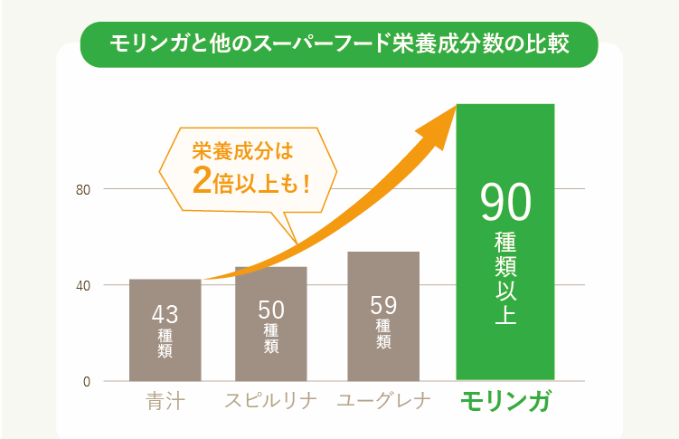 栄養価に優れたモリンガの可能性モリンガとは？