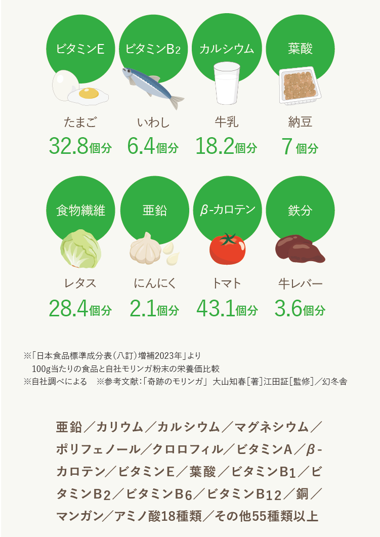 栄養価に優れたモリンガの可能性モリンガとは？